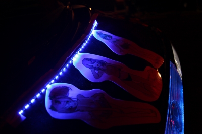 �[�b�P���Q�V�@���̂U