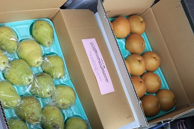 �J�����7