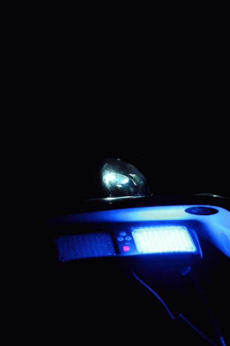 �f�B�i�[�^�C��